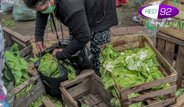 Agricultores de La Plata regalaron verduras en plaza Moreno