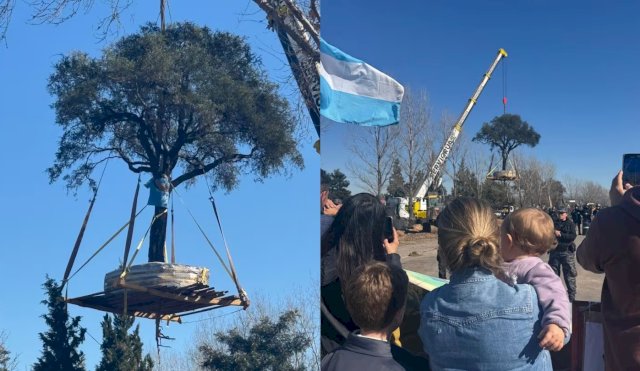 ARBOL MOVIDO